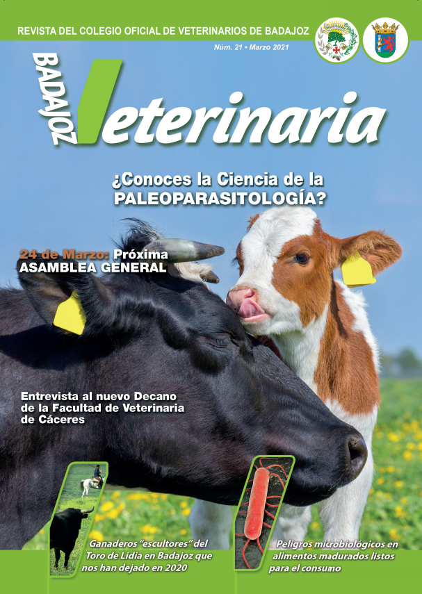 Número 19 Badajoz Veterinaria