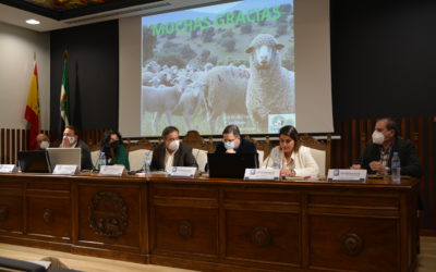 Segunda Jornada sobre «Animalismo, Sociedad y Veterinaria»