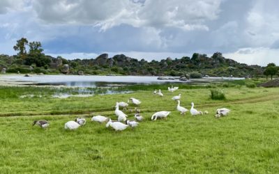 Foto del mes de abril