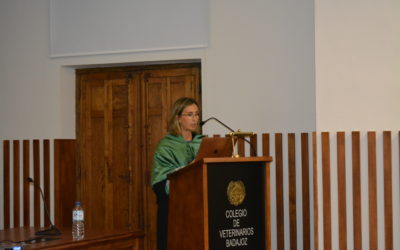 INGRESO EN LA ACVE DE LA ILMA. DRA. ANGELA LACOMBE ANTONELLI