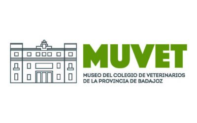 ¡VISITA EL MUVET!