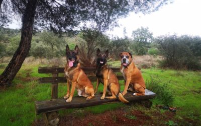 ¡Foto de nuestro calendario para el mes de julio!