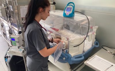 Miastenia gravis adquirida en perros