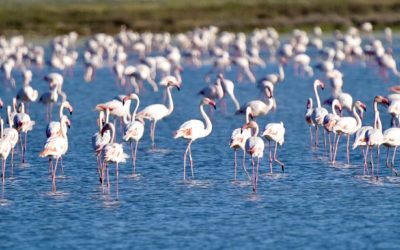 FOTO DEL MES DE AGOSTO