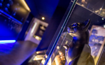 EL MUVET ABRIRÁ SUS PUERTAS DURANTE LA NOCHE EN BLANCO