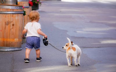 Perros y niños, niños y perros
