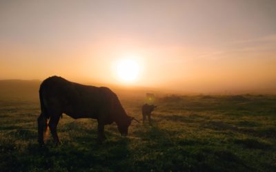 ¡SE NOS ACABA EL 2022!