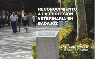 ¡FUERA EL NÚMERO 28 DE NUESTRA REVISTA!