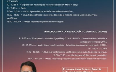 Jornadas Neurología Clínica Veterinaria, con Araceli Gamito Gómez.