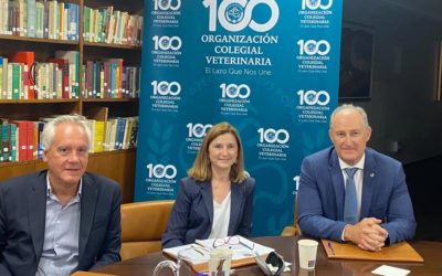 La OCV y AVEPA se reúnen para tratar el desarrollo de especialidades