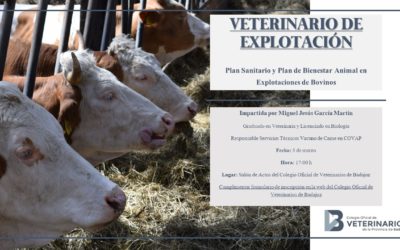 Veterinario de explotación. Plan sanitario y plan de bienestar animal en explotación de bovinos.