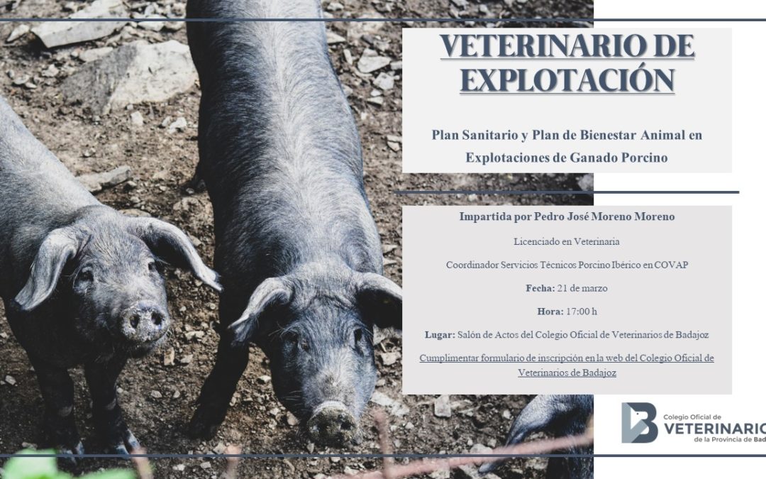 Veterinario de Explotación: Plan sanitario y plan de bienestar animal en explotaciones de ganado porcino.