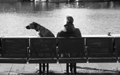 Descubrimientos Recientes sobre el Estrés Humano y las Emociones de los Perros