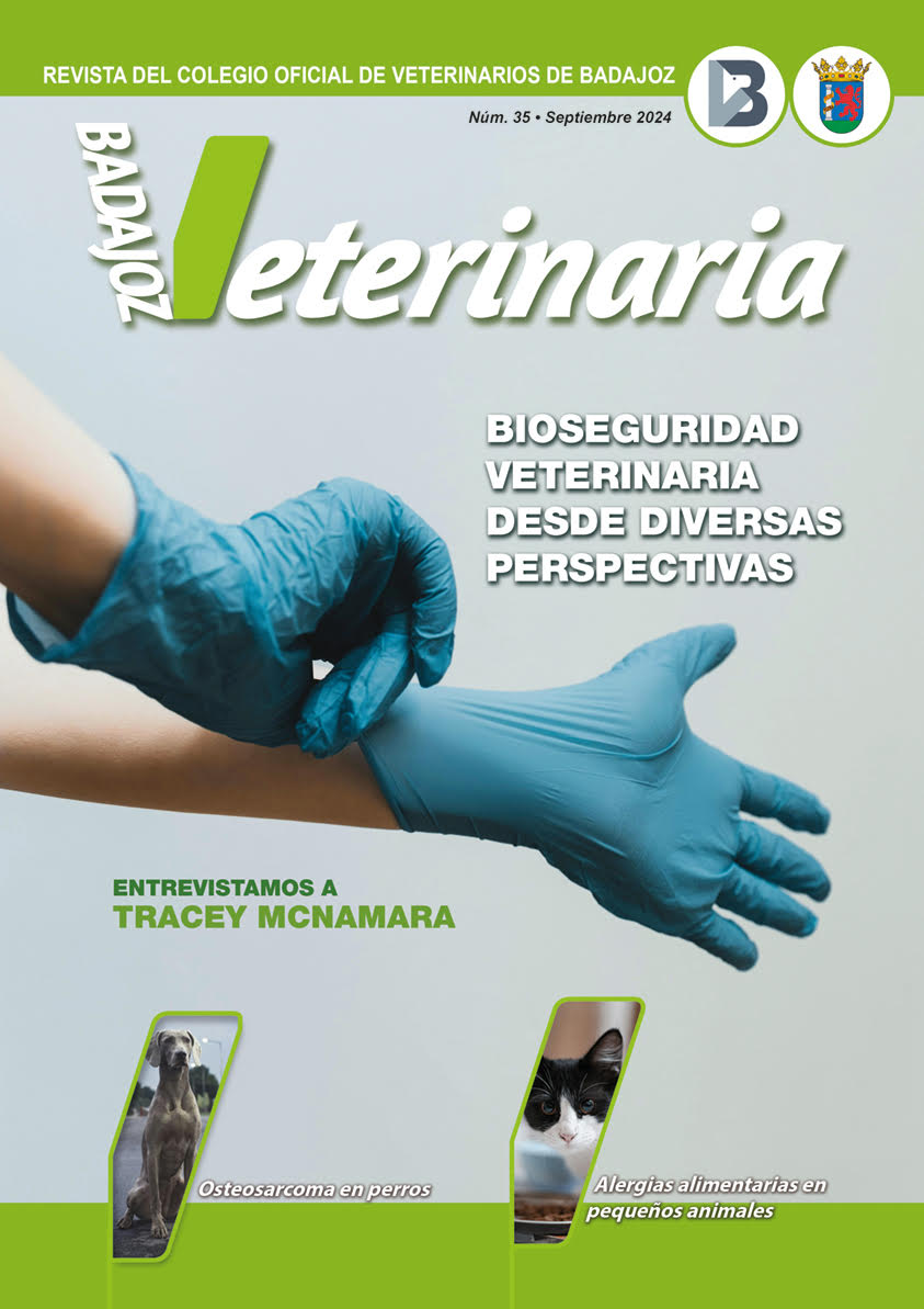 Revista nº33