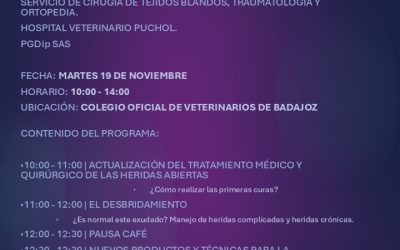 ACTUALIZACIÓN MANEJO DE HERIDAS