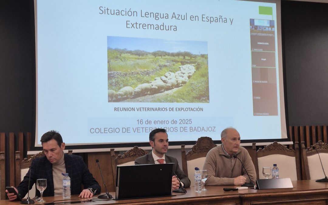 Alta participación en la reunión con la Consejería sobre la estrategia de control de la lengua azul en Extremadura