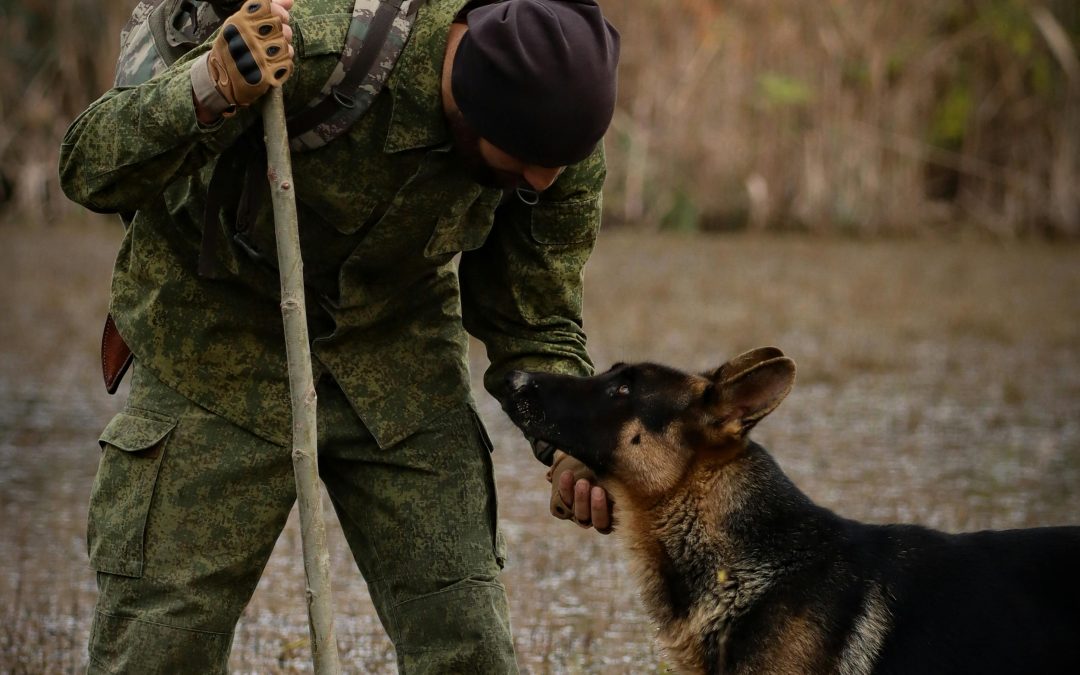 De la guerra al hogar: cómo la Segunda Guerra Mundial cambió la alimentación y el papel del perro en la sociedad