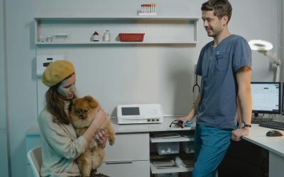 Claves para una Comunicación Veterinaria Efectiva