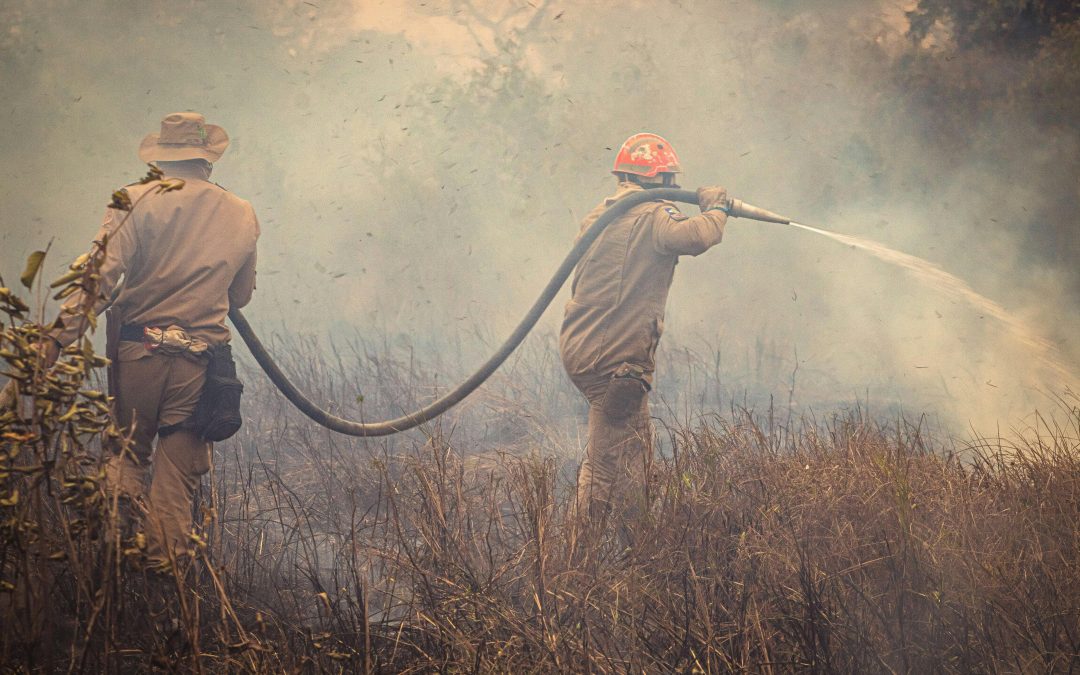 Incendios y despoblación: el reto de mantener vivo nuestro campo