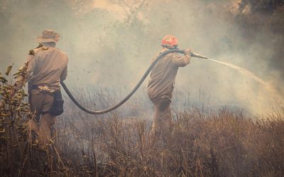 Incendios y despoblación: el reto de mantener vivo nuestro campo