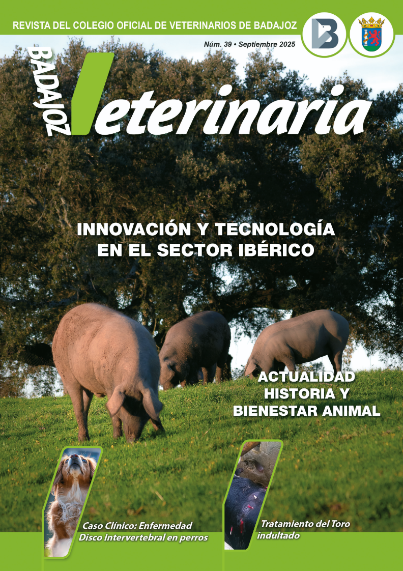Revista nº33