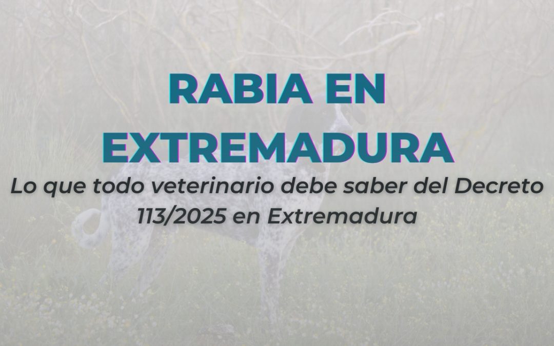 Nuevo marco legal de la rabia en Extremadura: cinco aspectos clave