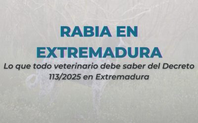 Nuevo marco legal de la rabia en Extremadura: cinco aspectos clave