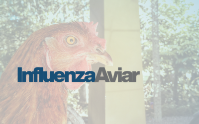 Gripe aviar H5N1: claves y recomendaciones profesionales