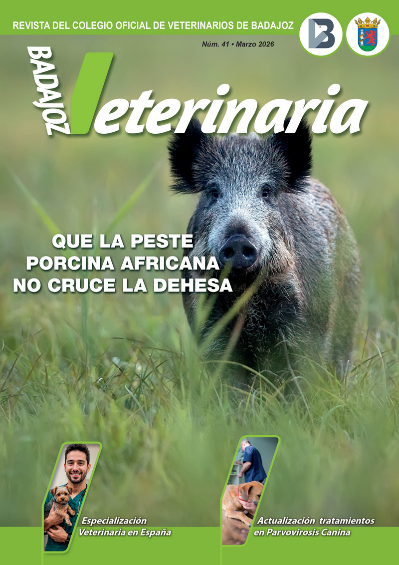 Revista nº33