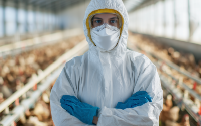 Europa registra el primer caso humano importado de gripe aviar A (H9N2) en la UE/EEE