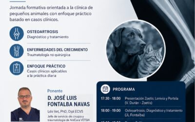 Jornada de Ortopedia y Traumatología en Pequeños Animales