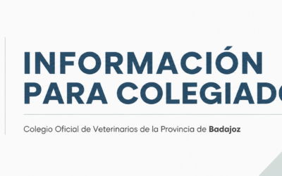 Alta en ARADO, requisito para adquirir talonarios de recetas veterinarias