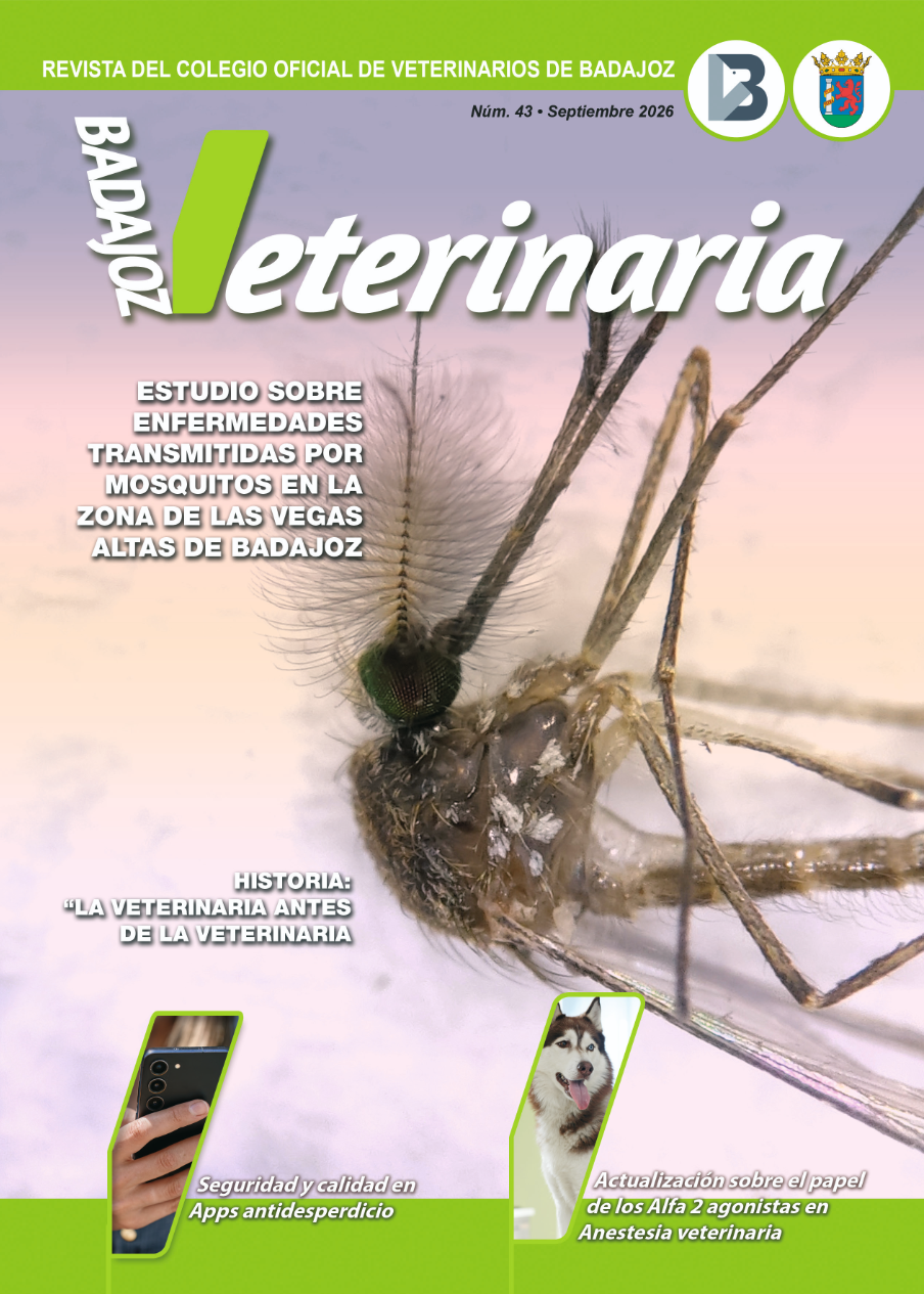 Revista nº33